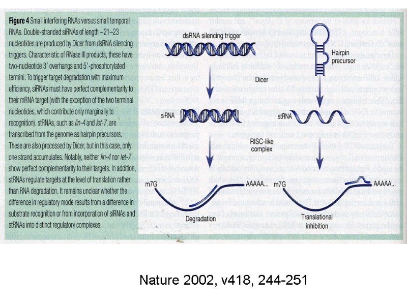 Nature 2002, v418, 244-251